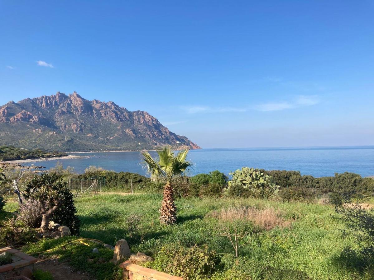 Il Bacio Del Sole Lejlighed Tertenìa Eksteriør billede